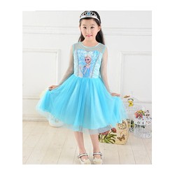 Frozen Elsa Princess Dress 